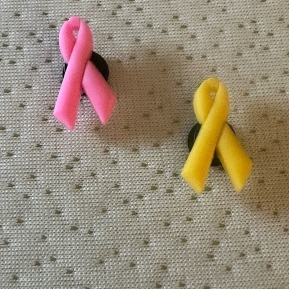 Jibbitz Ribbon Croc Charms Set of 2 NWT